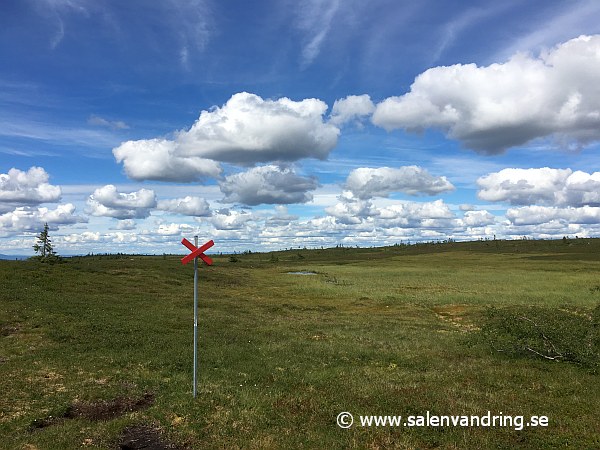 Ledkryss på Sälfjället