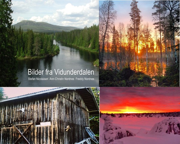 Boken Bilder från Ljøradalføret. Version 1