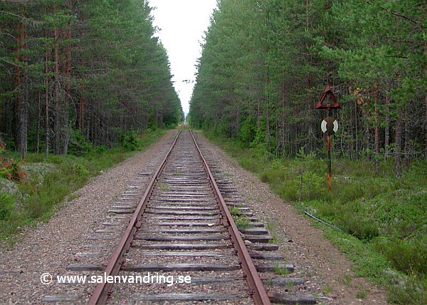 Särnabanan. bild från linjen norrut en bit norr om Malungsfors