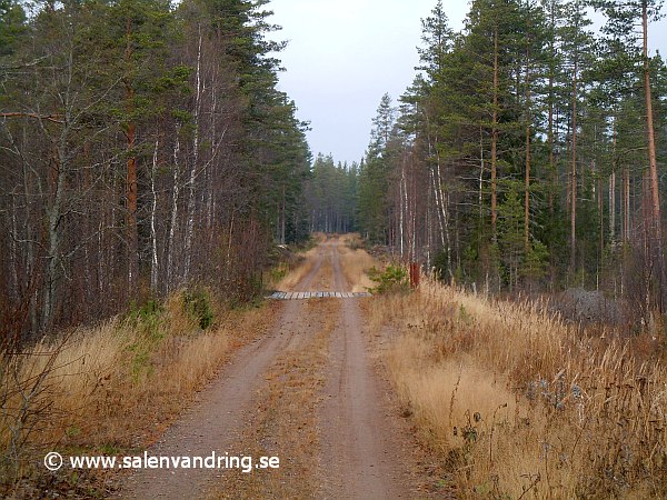 Särnabanan. Linjen vid Megrinn vidare norrut