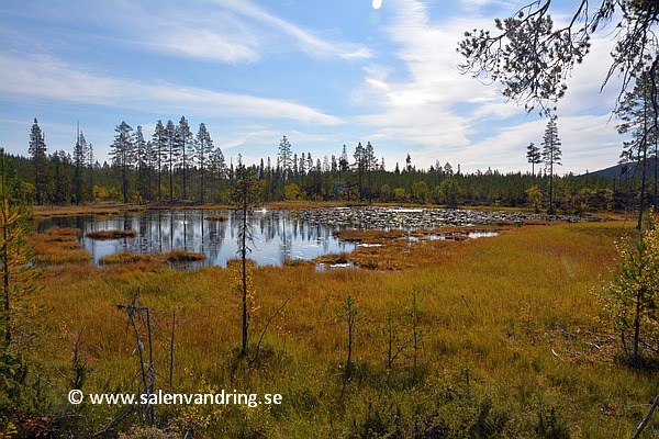 Sulltjärn vid Kläppen