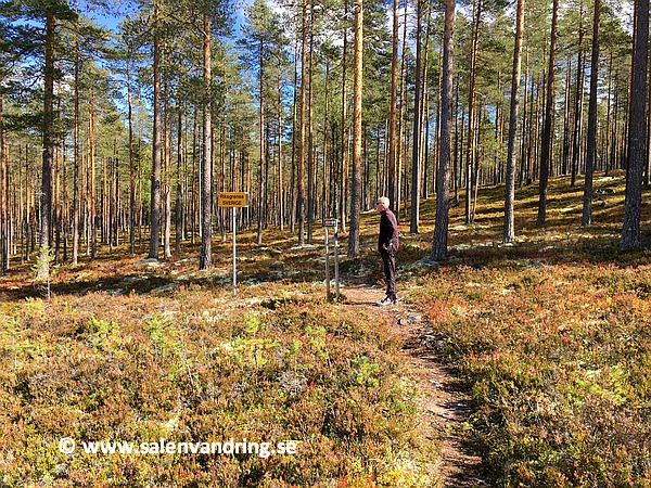 Hans Odde som jag gick runt med i år stannar till vid gränsen på Stora Moberget