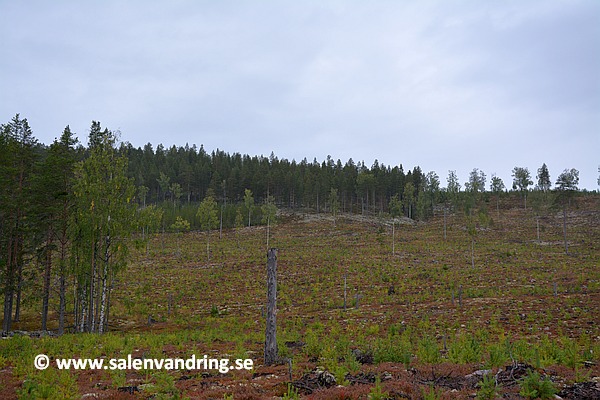 Från stigen strax söder om gården, upp mot toppen mot Stora Moberget