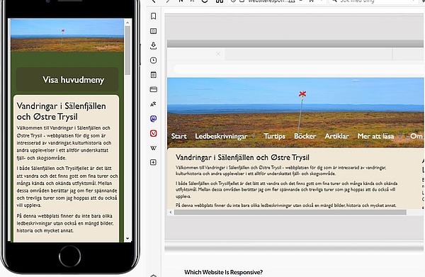 Hur hemsidan ser ut i olika media