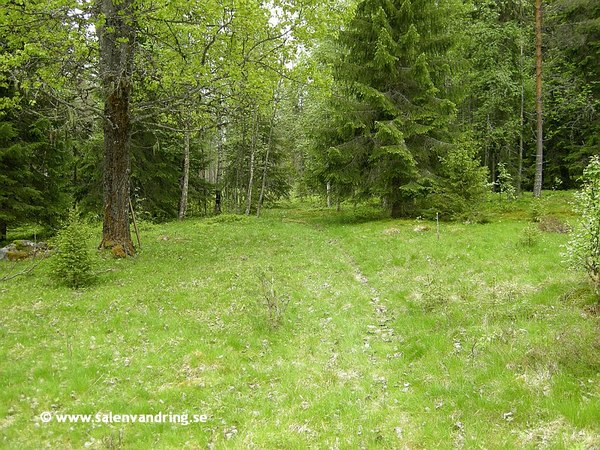 Janteheimet 2012. Den lundartade och öppna terrängen