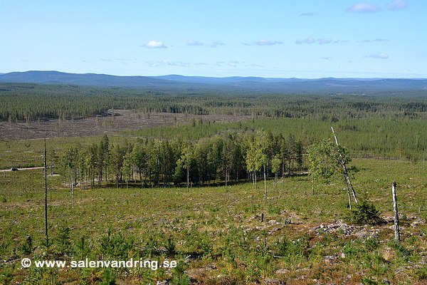 Vy över Stora Mobergets gård nedanför ravinen, september 2023