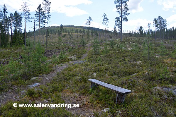 Bänken vid Nordre Moberget