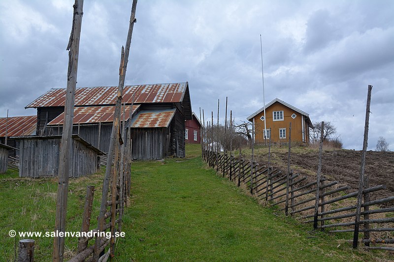 Almenninga i Vestmarka, här gick pilgrimsleden över tunet