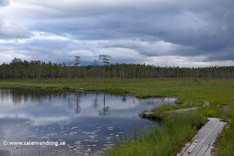 Latmanstjärn