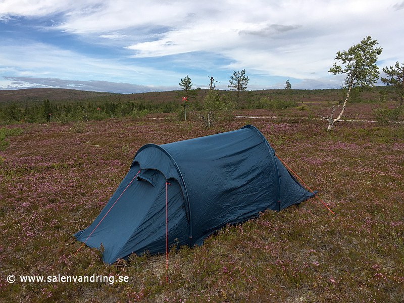 Tältet uppställt på Östfjället längs leden mot Östra Färdkällan