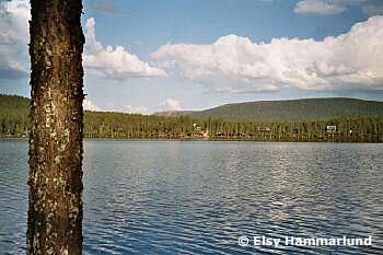 Närsjön. Foto: Elsy Hammarlund