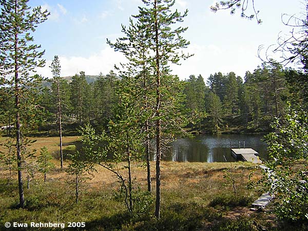 Tandåtjärn. Foto Ewa Rehnberg