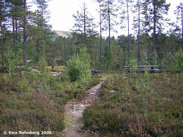 Tandåtjärn. Foto Ewa Rehnberg