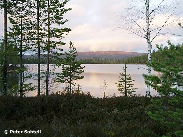 Torrvedtjärn mot Hundfjället. Foto: Peter Sohtell