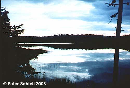 Torrvedtjärn. Foto: Peter Sohtell