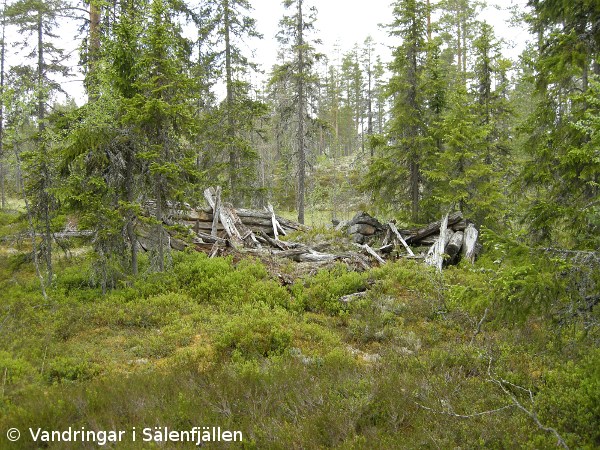 Resterna av Adolfskojan