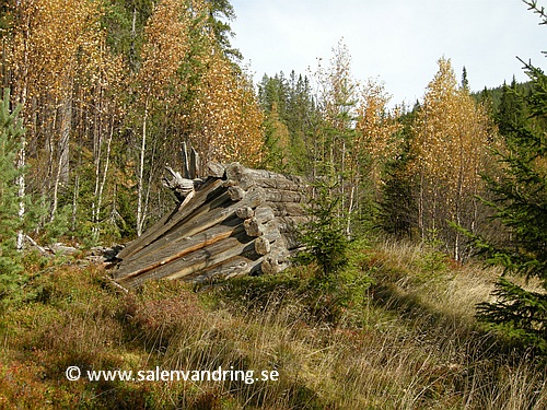 Raserad lada nere vid Björnbäcken