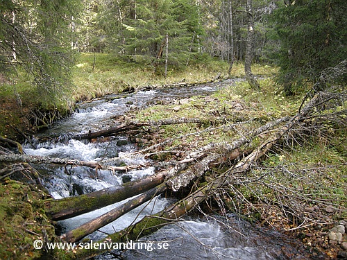 Längs Björnbäcken, långt upp i dalen