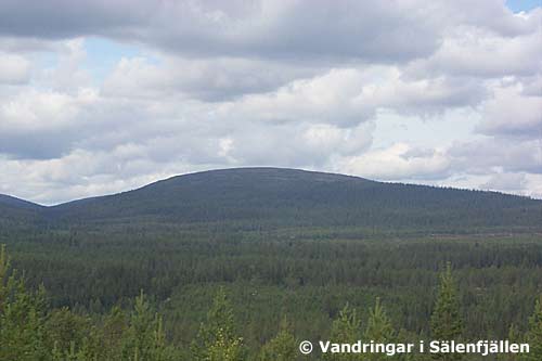 Sälenfjällen norrut, öster om Kinnvallsjösätra