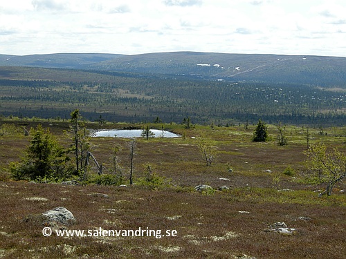 Utsikt söderut från leden upp på Flatfjället