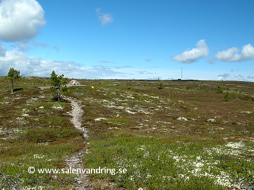 På väg upp mot toppen av Flatfjället