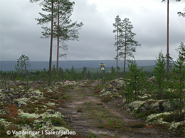 Strax efter Gilleråsen viker leden av mot Skogsätra. Vi kommer tillbaka denna väg. Juli 2008