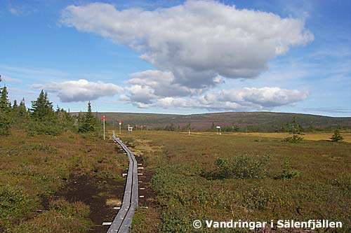 Vy mot norr en kilometer norr om Hemfjällstangen