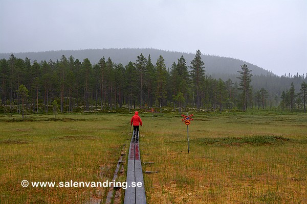 Spångat över Hundfjällskölen