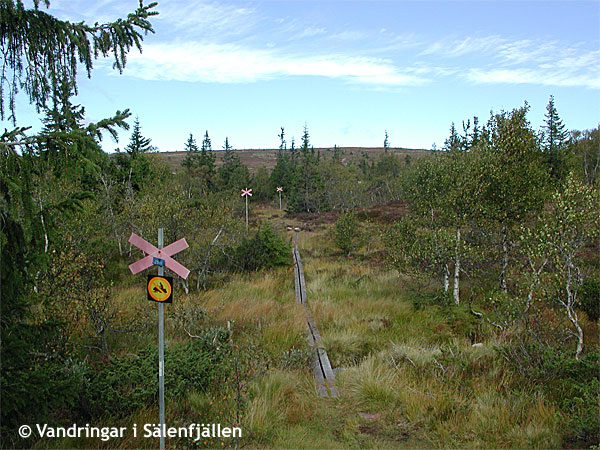 Vid ledskiljet upp mot Källfjällets topp, september 2007