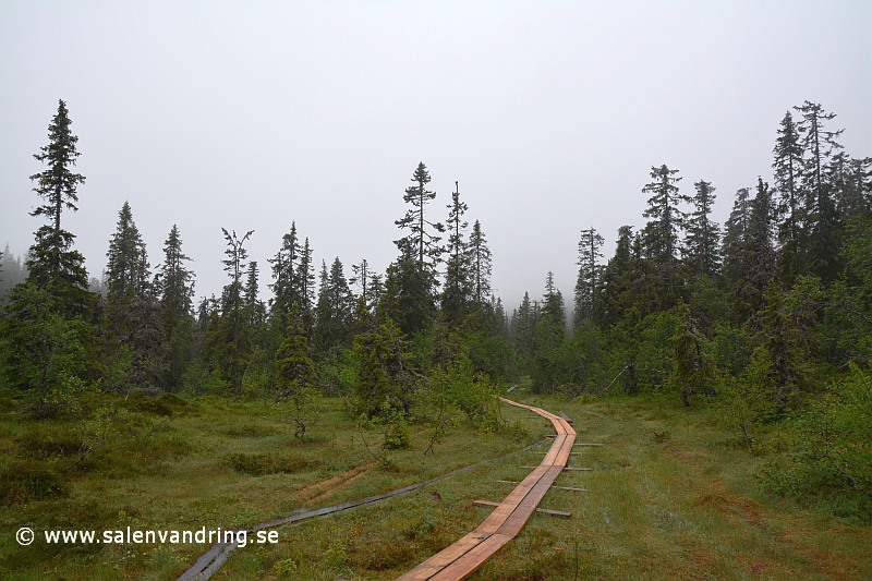 Kvilldalen söderut