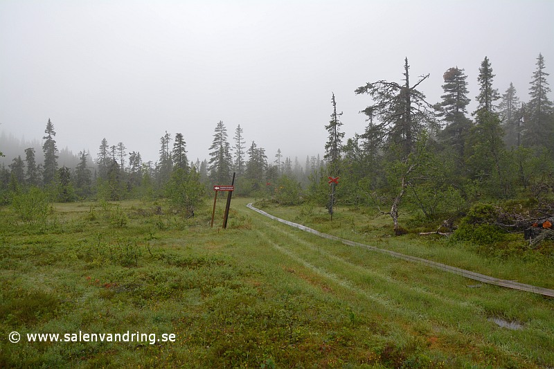 Kvilldalen söderut