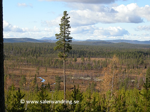 Utsikt västerut från Ingvallhögen