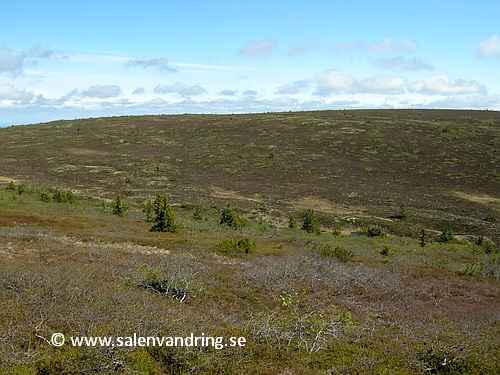 Från Flatfjället mot Lördagsgraven