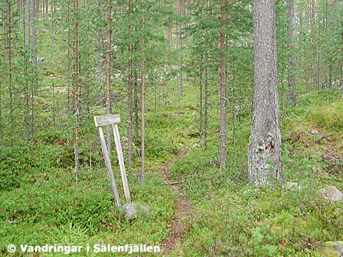 Ledstarten nedanför Medskogshögen