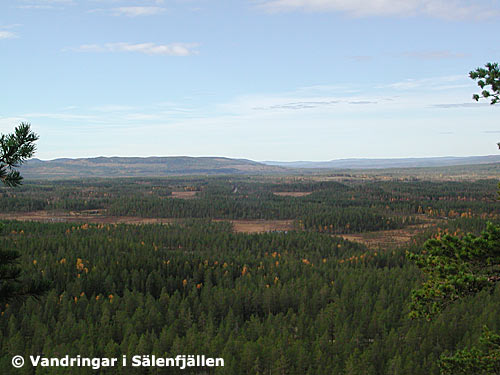 Utsikten västerut från Medskogshögen