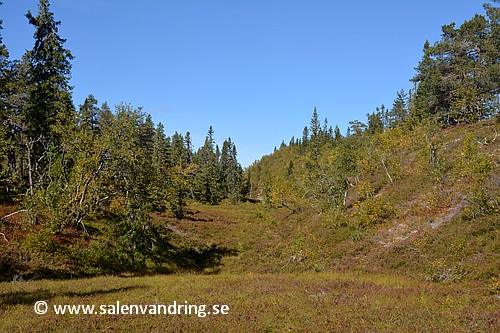 Mossakalsgraven norrut