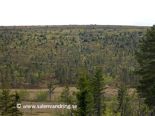 Den rivna leden från fjällvägen upp till Östra Kalvens topp