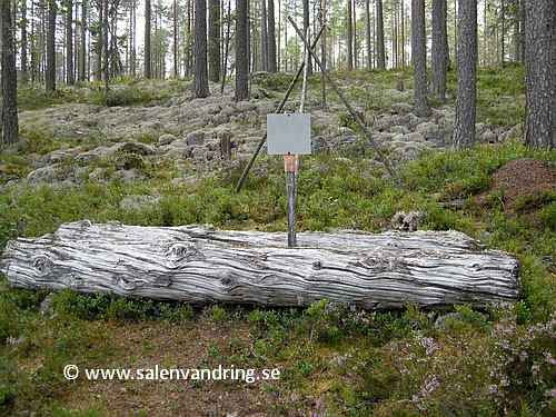 Trädet som föll över Per är bevarat och ett minnesmärke i sig