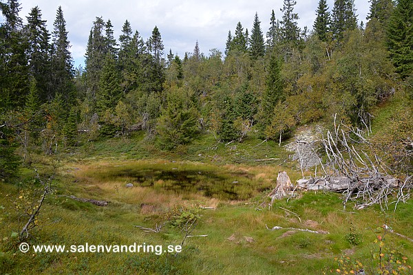 Den lilla tjärnen, cirka 400 meter SO om Hjärtat