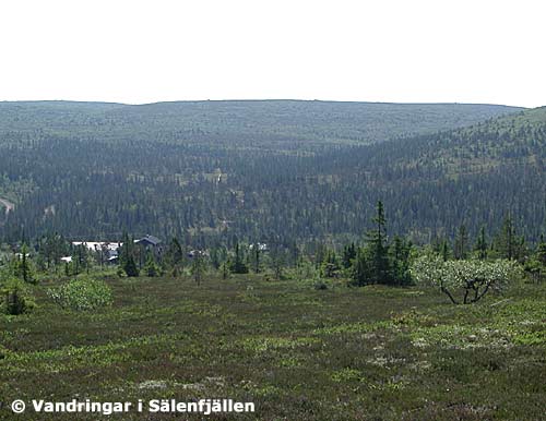 Vy över Sälfjällstangen