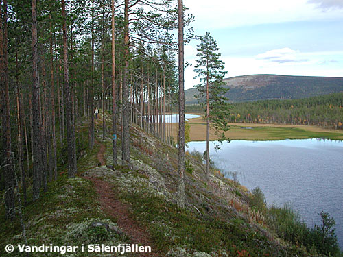 Utsikt från Sjøegga över Flersjøarna mot norr