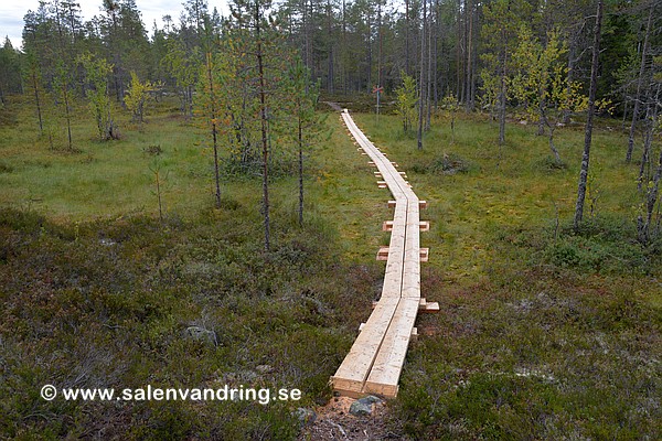 En av många nybyggda spänger