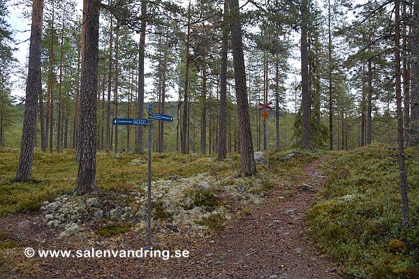 Stolpe 831 vid Närsjön