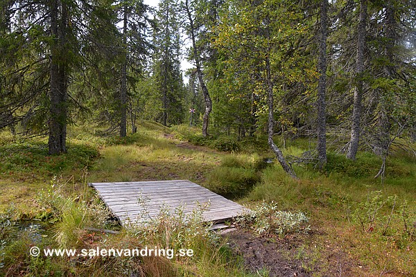 En av de mindre broarna över Norra Saldalsbäcken