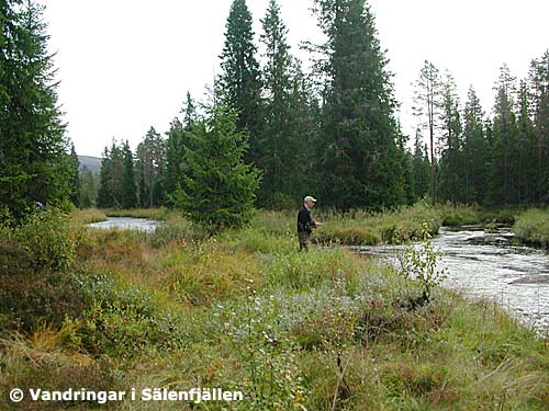 Ove provar fiskelyckan i Stora Tandån vid Hundvalloset