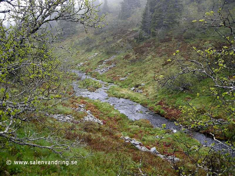 Bäcken i ravinen söder om serveringen i Storfjällsgraven, juli 2012