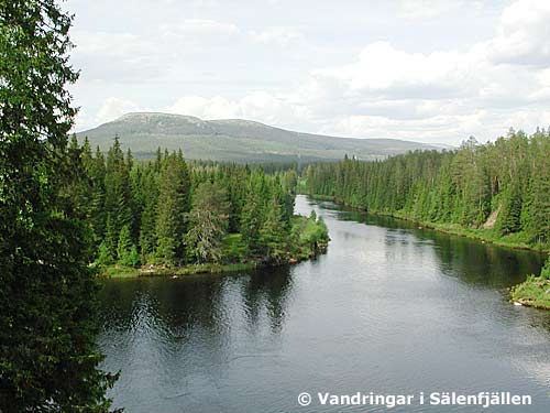 Våtdalsedan. Riksgränsen ser vi hela vägen upp på Faksefjell